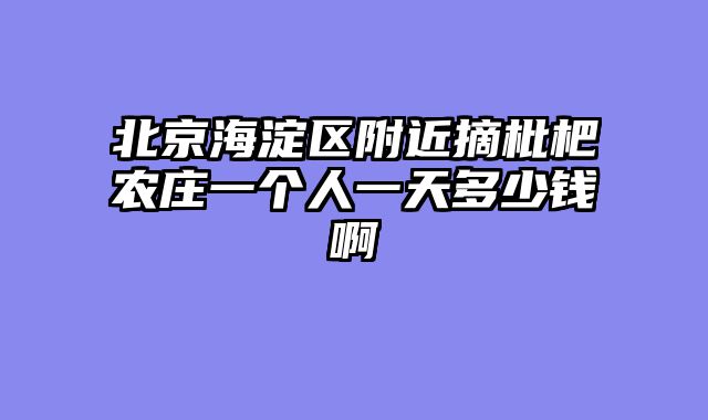 北京海淀区附近摘枇杷农庄一个人一天多少钱啊