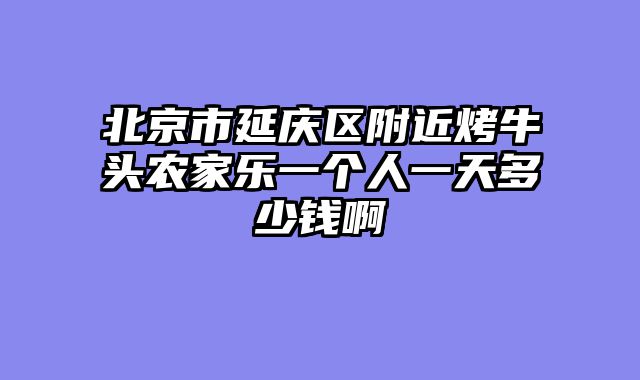 北京市延庆区附近烤牛头农家乐一个人一天多少钱啊