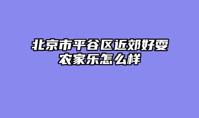 北京市平谷区近郊好耍农家乐怎么样