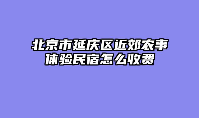 北京市延庆区近郊农事体验民宿怎么收费