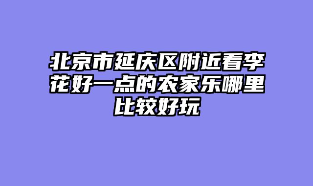 北京市延庆区附近看李花好一点的农家乐哪里比较好玩