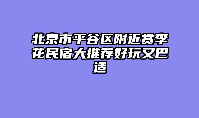 北京市平谷区附近赏李花民宿大推荐好玩又巴适