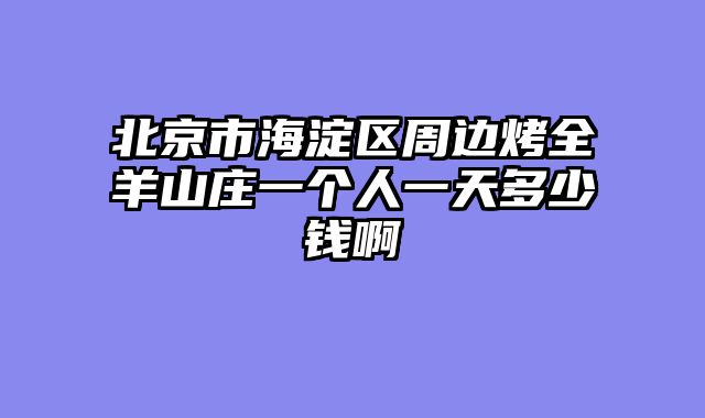 北京市海淀区周边烤全羊山庄一个人一天多少钱啊