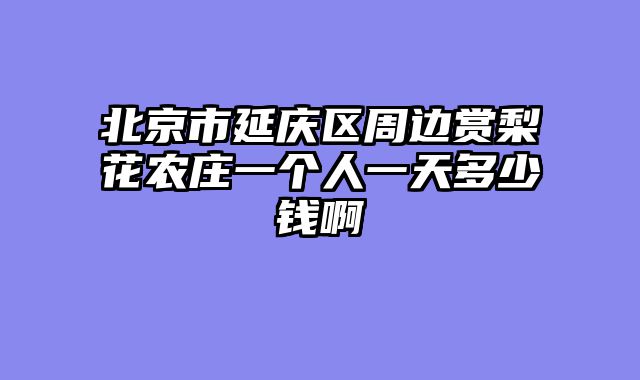 北京市延庆区周边赏梨花农庄一个人一天多少钱啊
