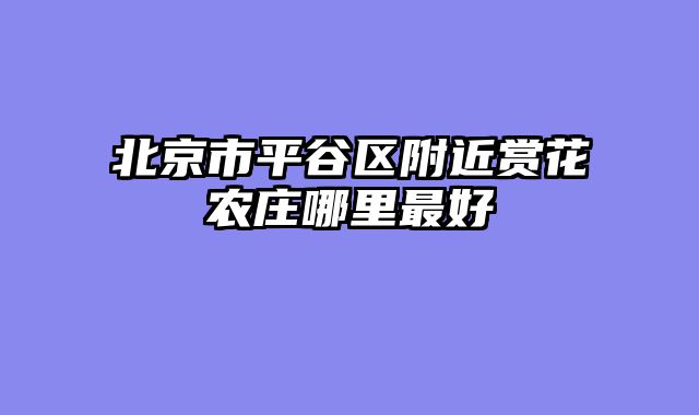 北京市平谷区附近赏花农庄哪里最好