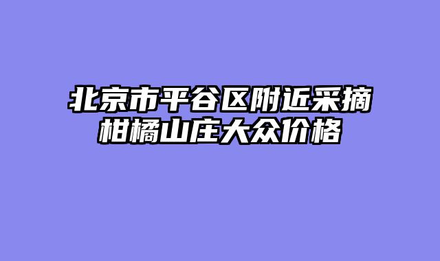 北京市平谷区附近采摘柑橘山庄大众价格
