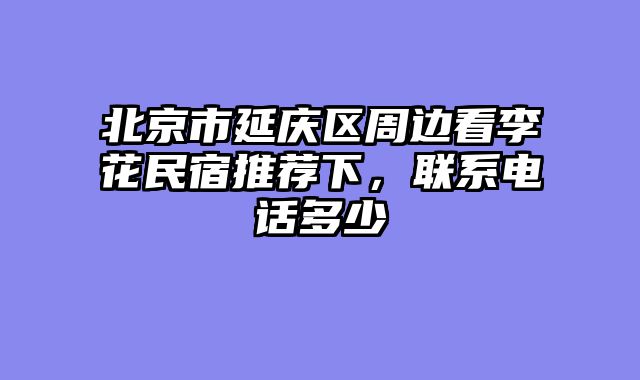 北京市延庆区周边看李花民宿推荐下，联系电话多少