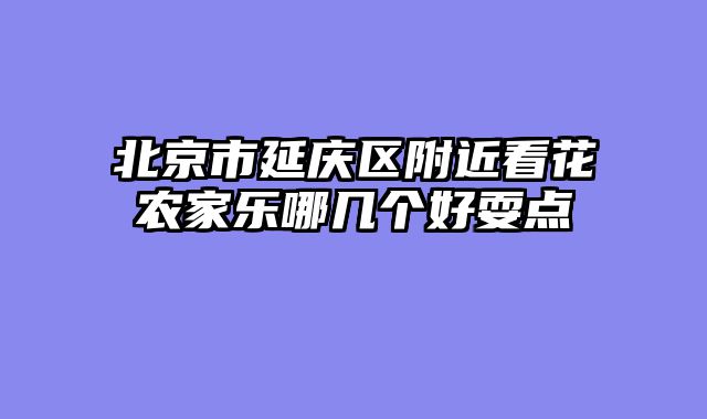 北京市延庆区附近看花农家乐哪几个好耍点