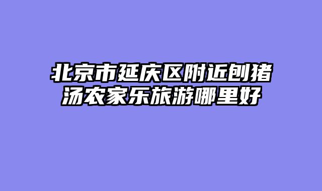 北京市延庆区附近刨猪汤农家乐旅游哪里好