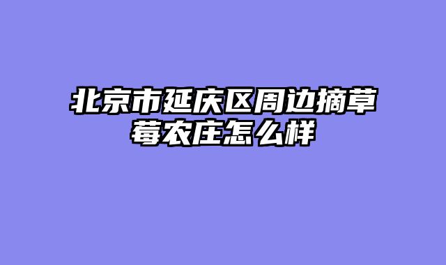 北京市延庆区周边摘草莓农庄怎么样