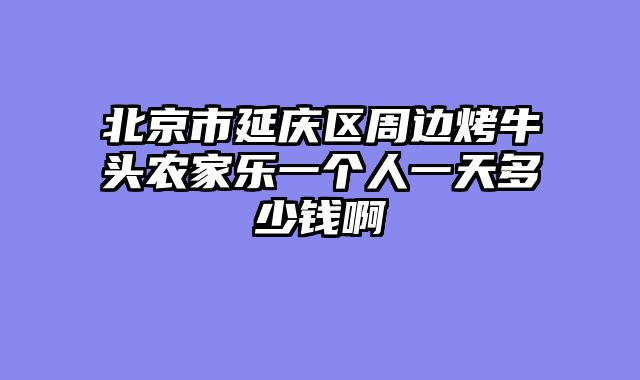 北京市延庆区周边烤牛头农家乐一个人一天多少钱啊