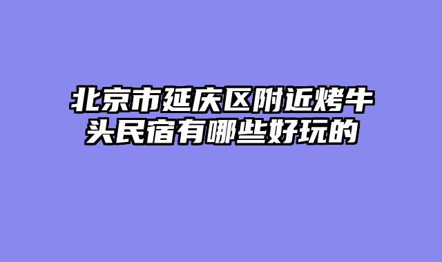 北京市延庆区附近烤牛头民宿有哪些好玩的