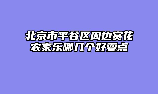 北京市平谷区周边赏花农家乐哪几个好耍点