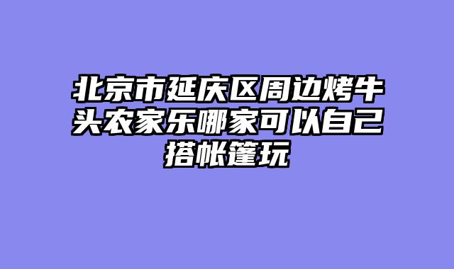 北京市延庆区周边烤牛头农家乐哪家可以自己搭帐篷玩