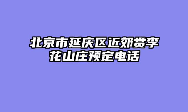 北京市延庆区近郊赏李花山庄预定电话