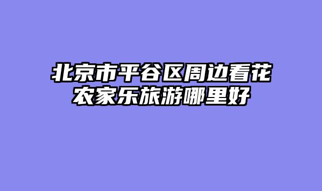 北京市平谷区周边看花农家乐旅游哪里好