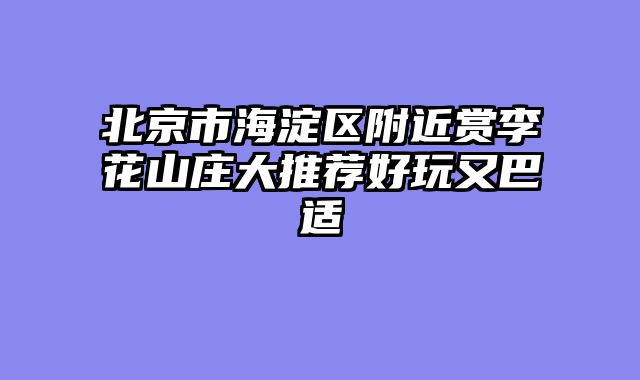 北京市海淀区附近赏李花山庄大推荐好玩又巴适