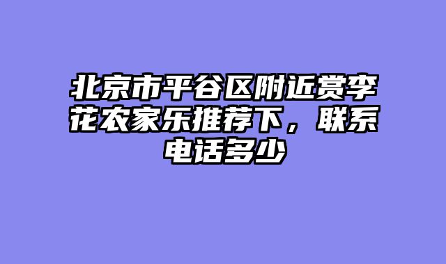 北京市平谷区附近赏李花农家乐推荐下,联系电话多少