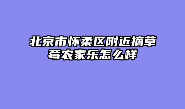 北京市怀柔区附近摘草莓农家乐怎么样
