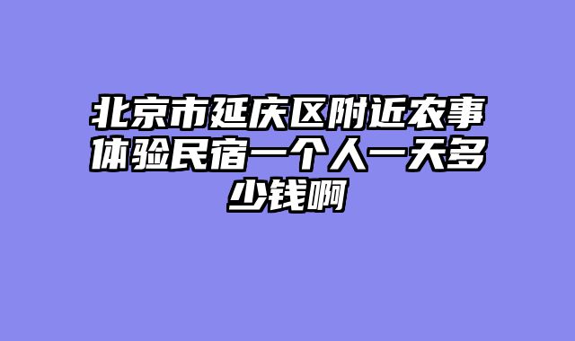 北京市延庆区附近农事体验民宿一个人一天多少钱啊