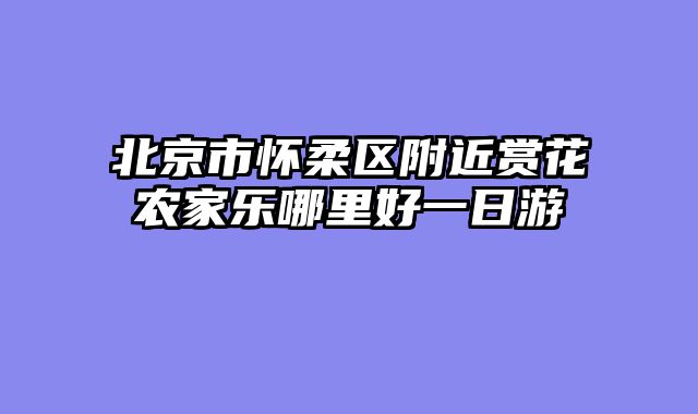 北京市怀柔区附近赏花农家乐哪里好一日游