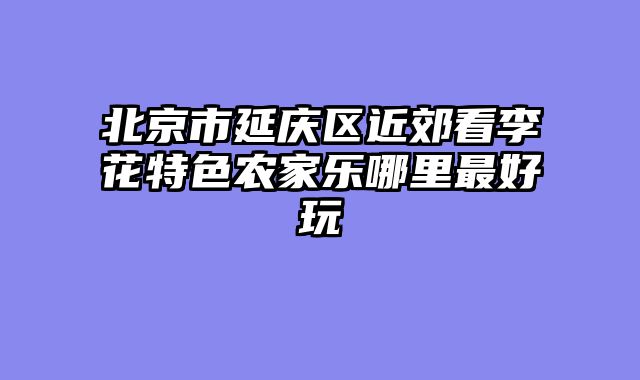 北京市延庆区近郊看李花特色农家乐哪里最好玩