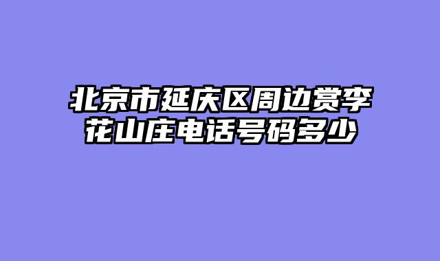北京市延庆区周边赏李花山庄电话号码多少