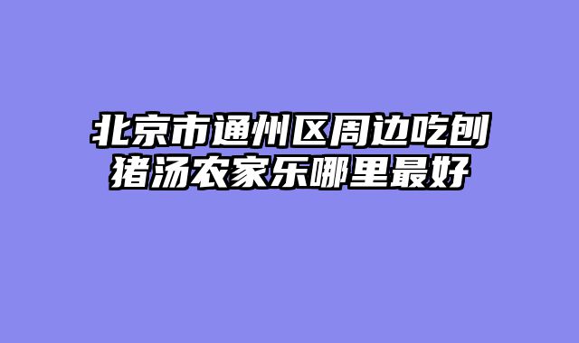 北京市通州区周边吃刨猪汤农家乐哪里最好