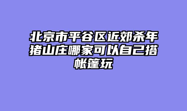 北京市平谷区近郊杀年猪山庄哪家可以自己搭帐篷玩