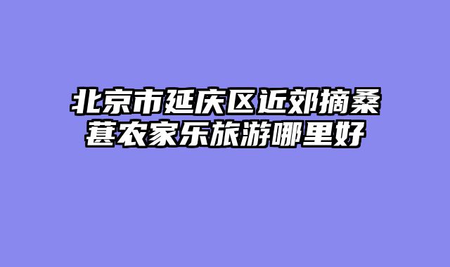 北京市延庆区近郊摘桑葚农家乐旅游哪里好