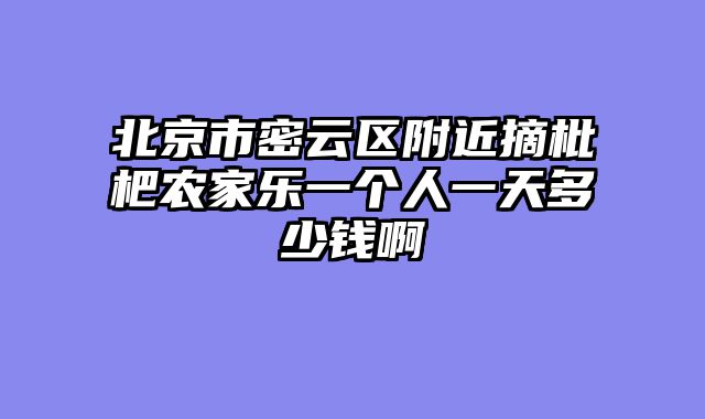 北京市密云区附近摘枇杷农家乐一个人一天多少钱啊