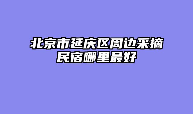 北京市延庆区周边采摘民宿哪里最好