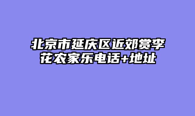 北京市延庆区近郊赏李花农家乐电话+地址