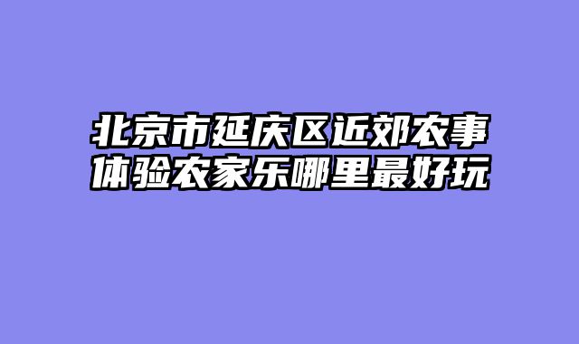 北京市延庆区近郊农事体验农家乐哪里最好玩