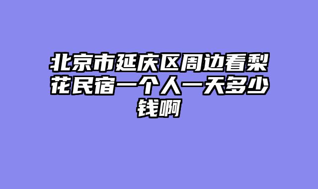 北京市延庆区周边看梨花民宿一个人一天多少钱啊