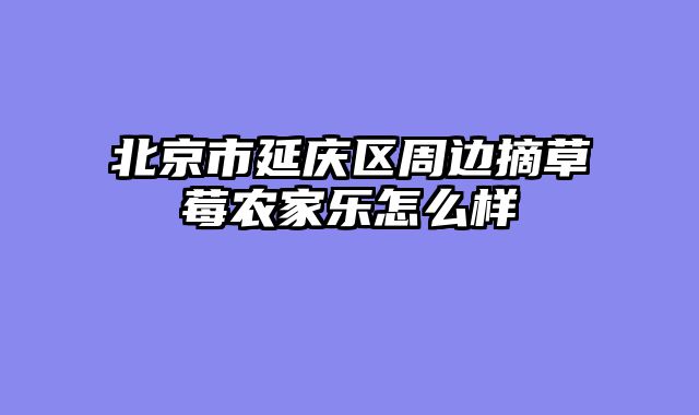 北京市延庆区周边摘草莓农家乐怎么样