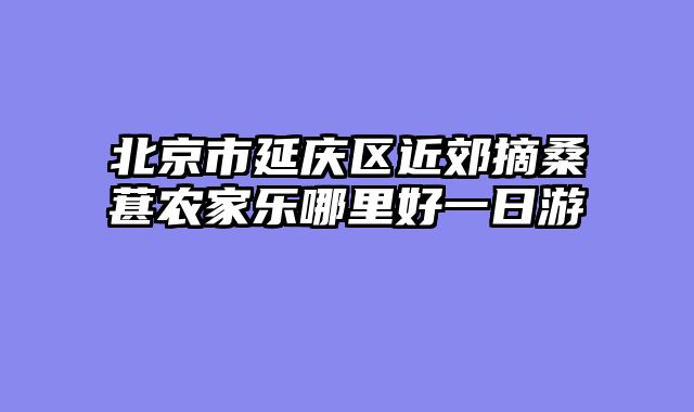 北京市延庆区近郊摘桑葚农家乐哪里好一日游