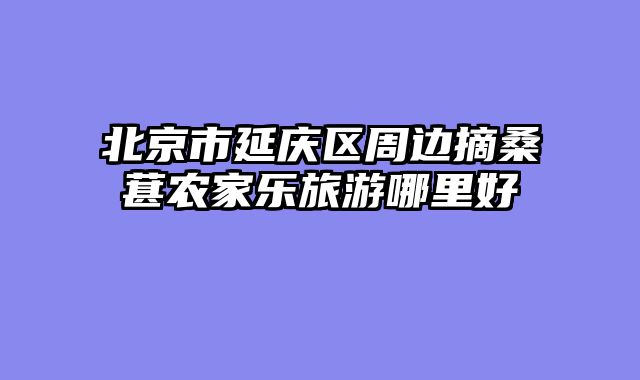 北京市延庆区周边摘桑葚农家乐旅游哪里好