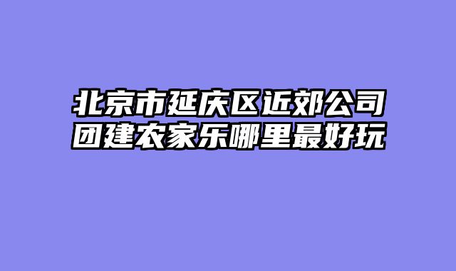 北京市延庆区近郊公司团建农家乐哪里最好玩